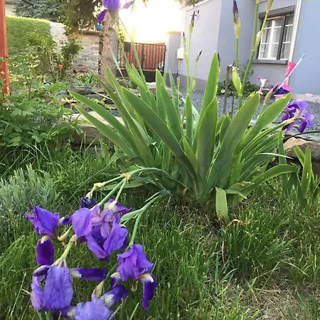 Luis Golyas Haza Ferienhaus *