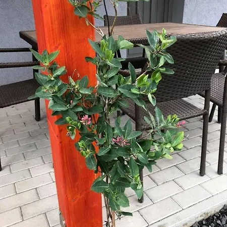 Luis Golyas Haza Ferienhaus *