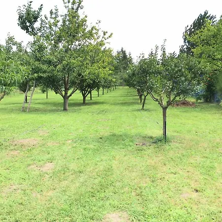 Ferienhaus Luis Golyas Haza *