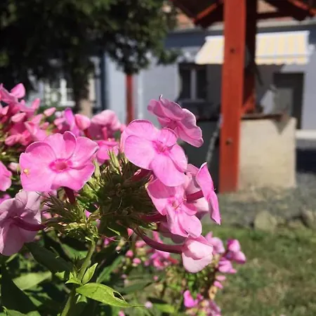 Luis Golyas Haza * Raposka