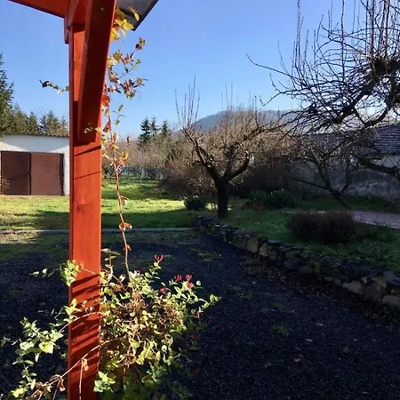 Luis Golyas Haza * Raposka