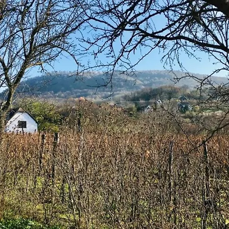 Holiday home Luis Golyas Haza Raposka