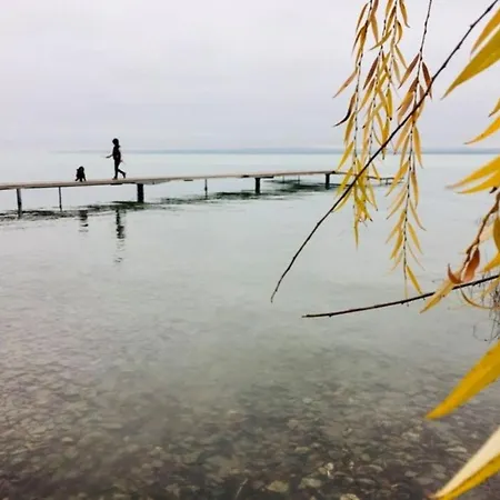 Luis Golyas Haza * Raposka