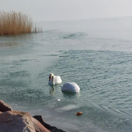 Ferienhaus Luis Golyas Haza *