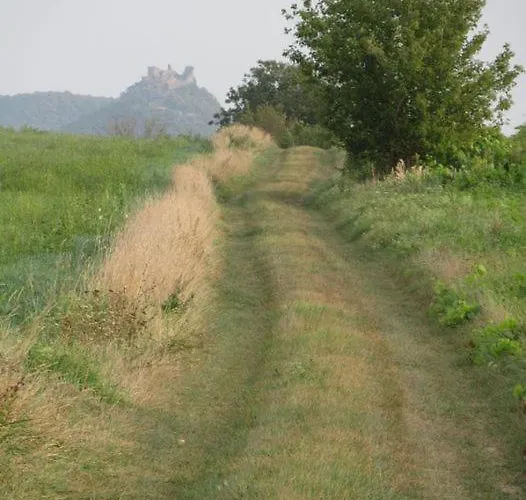 Luis Golyas Haza * Raposka