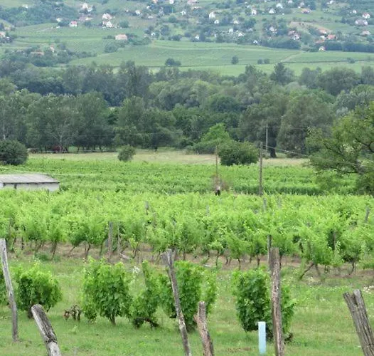 בית נופש Luis Golyas Haza *