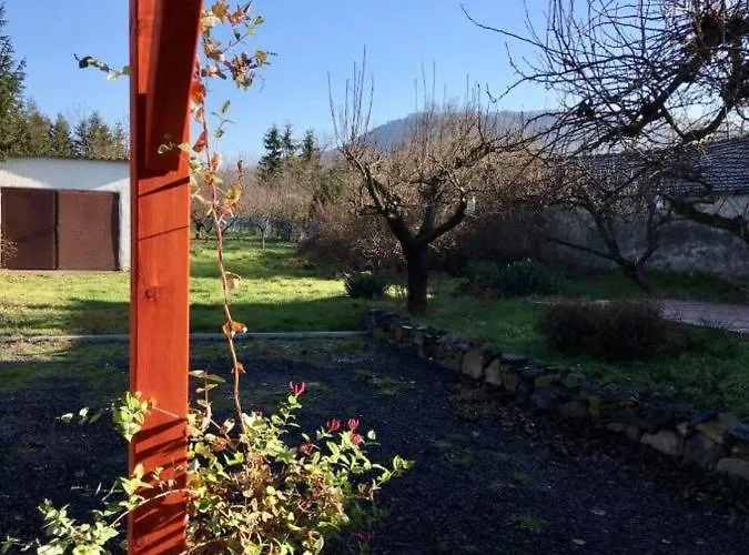 Luis Golyas Haza * Raposka