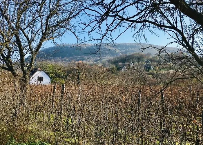 בית נופש Luis Golyas Haza Raposka