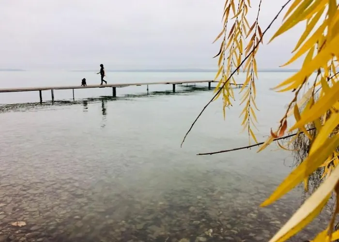 Luis Golyas Haza * Raposka