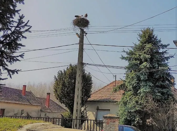 Luis Golyas Haza בית נופש