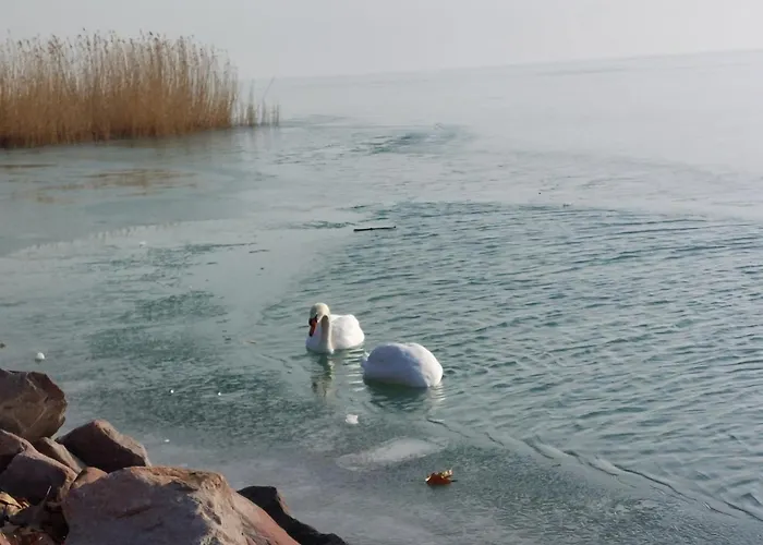 בית נופש Luis Golyas Haza *